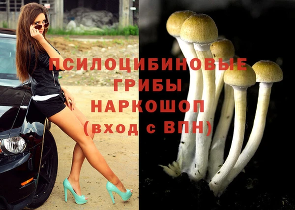 mdma Новозыбков