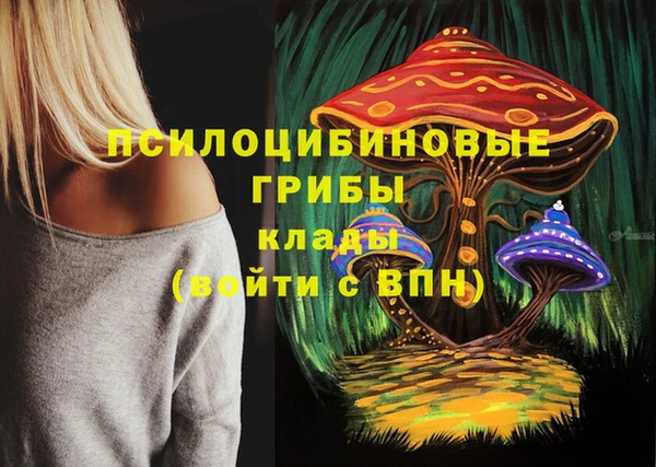 mdma Новозыбков