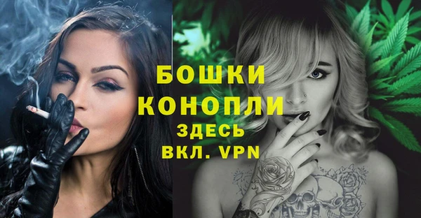 эйфоретик Новодвинск