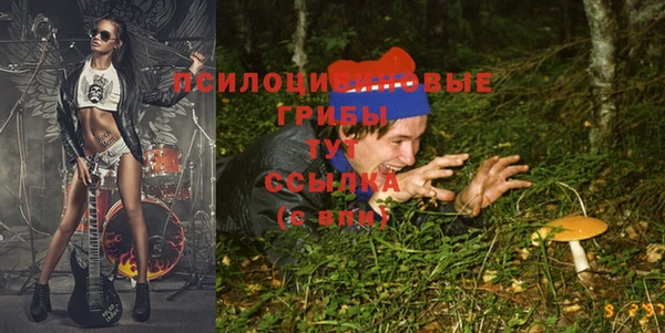 mdma Новозыбков